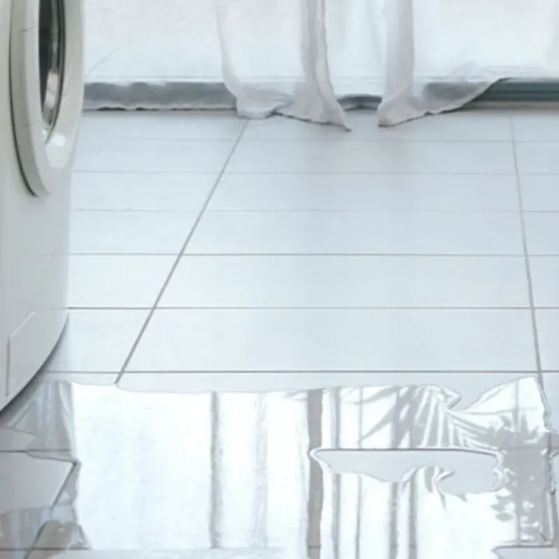 Appliance Leak Cleanup in Romeoville, IL