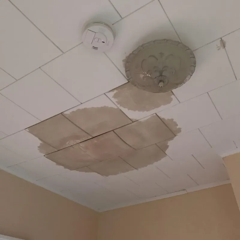 Ceiling Water Damage Repair in Romeoville, IL