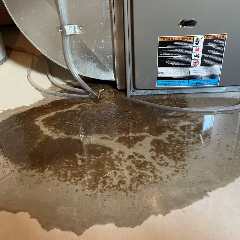 Pipe Burst and Leak Restoration in Romeoville, IL