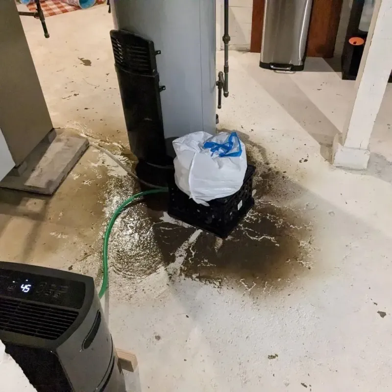 Sewage Backup Cleanup Service in Romeoville, IL